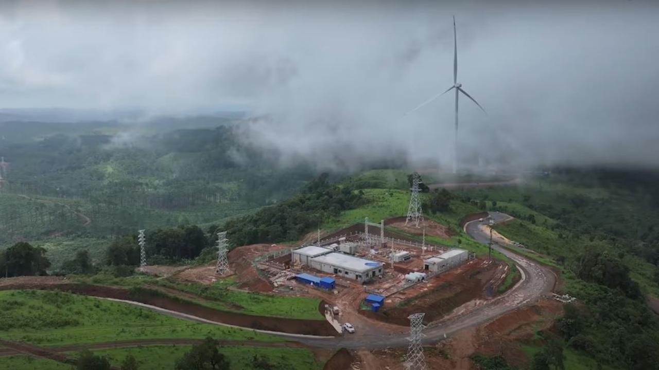 china-_laos_plant.jpg