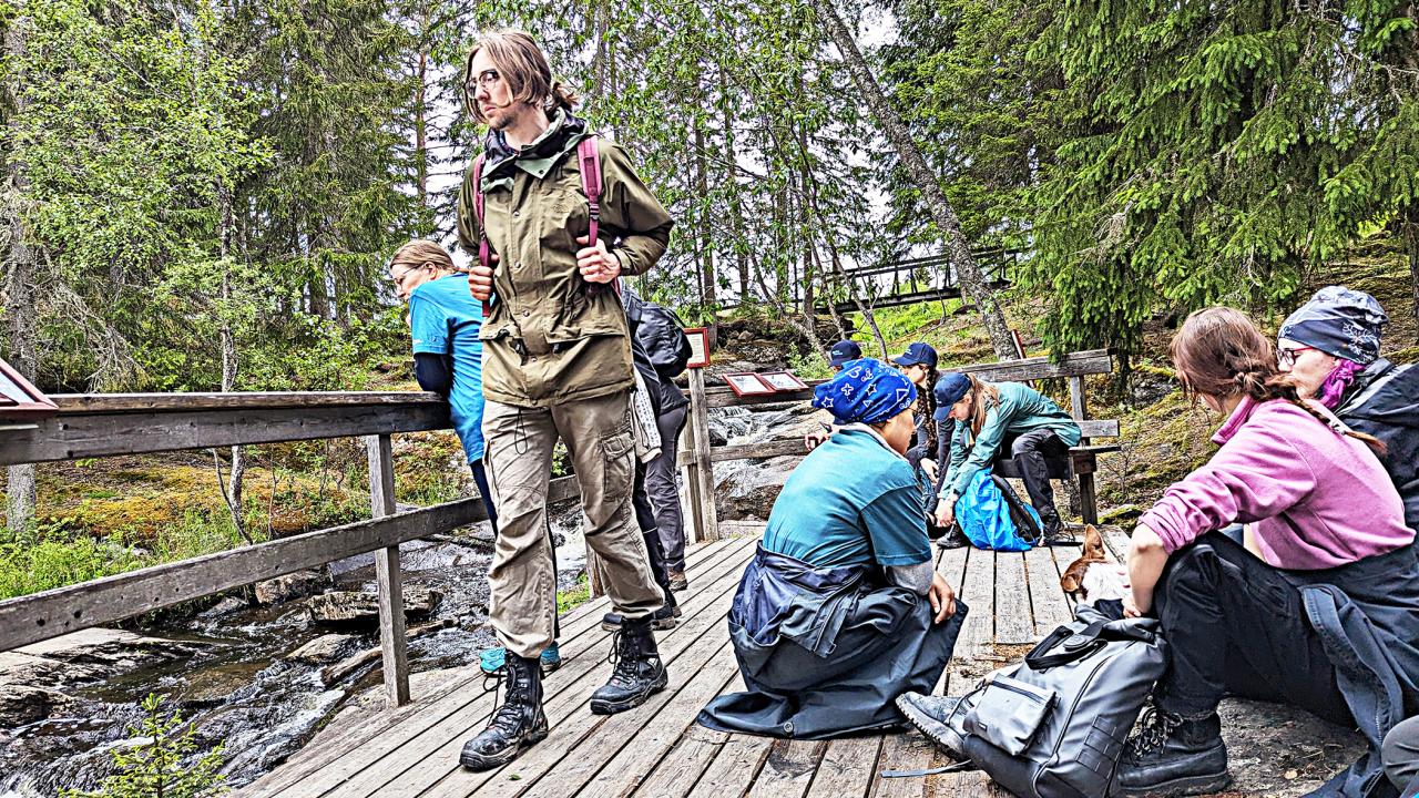 nordic-summer6.jpg